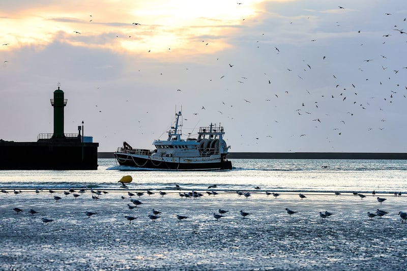 Droits de pêche : un accord conclu entre l’UE et la Grande-Bretagne pour 2026