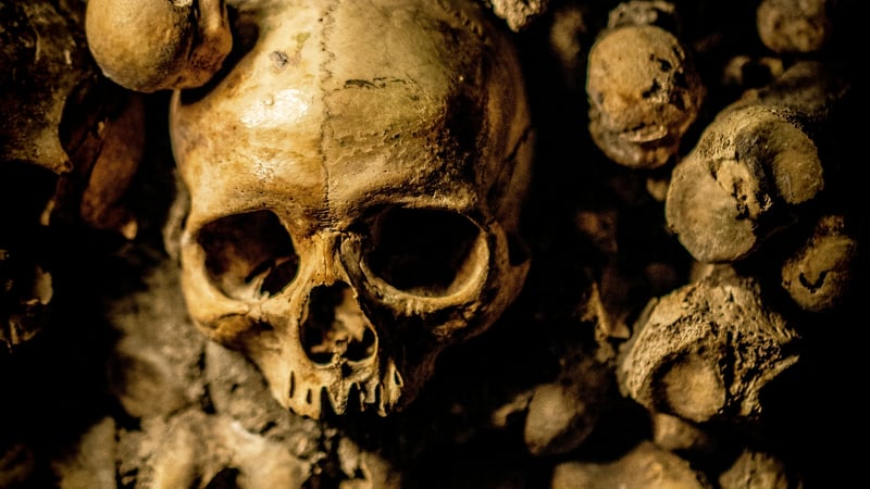 Le squelette oublié d'un duc hongrois du XIIIᵉ siècle révèle une exécution d'une violence inouïe