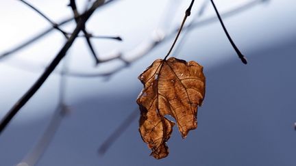 "Une totale bascule du flux d'air" : on vous explique pourquoi les températures vont chuter dans les prochains jours