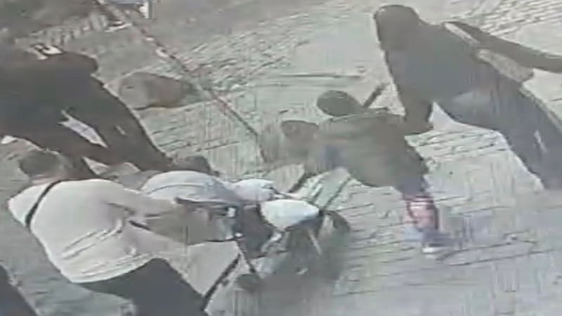 Böcek ailesinin yeni görüntüleri ortaya çıktı: 4 kişi hayatını kaybetmişti