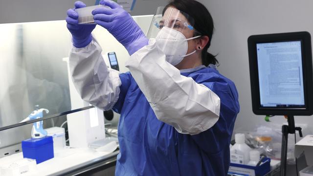 Vogelgrippe: US-Behörde meldet Infektion eines Menschen mit Vogelgrippe-Subtyp H5N5