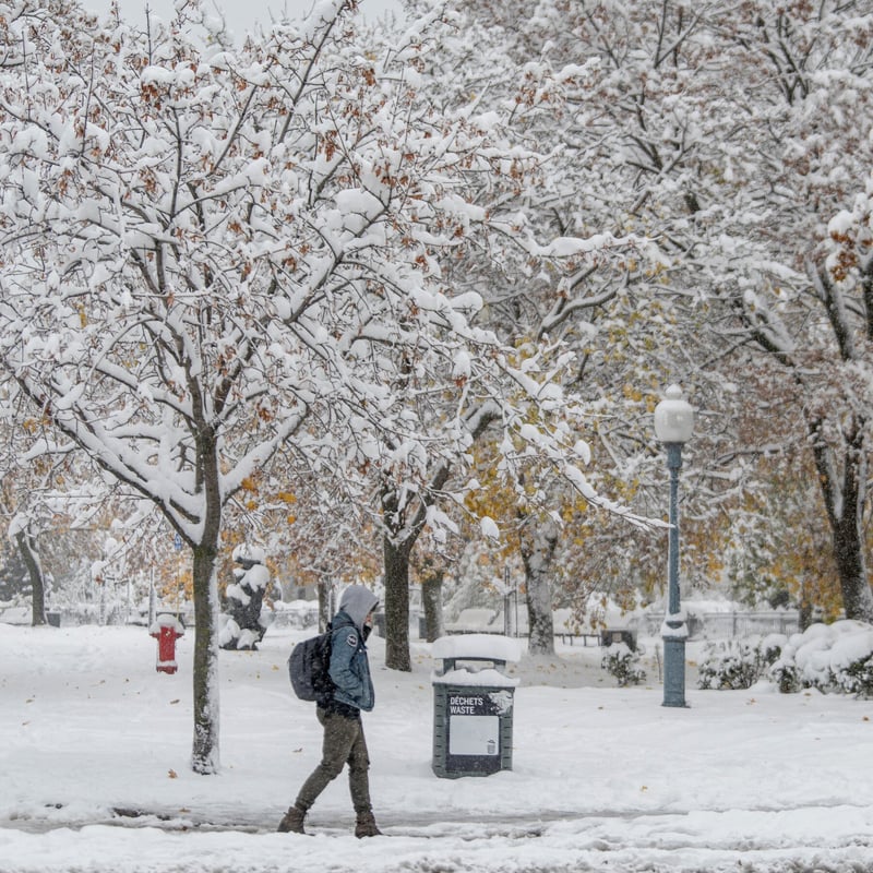 Parts of Southern Ontario Pummeled by Snow Squalls and Heavy Winds