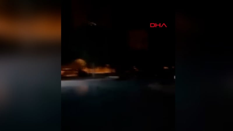 Kediye akılalmaz işkence! Polis harekete geçti