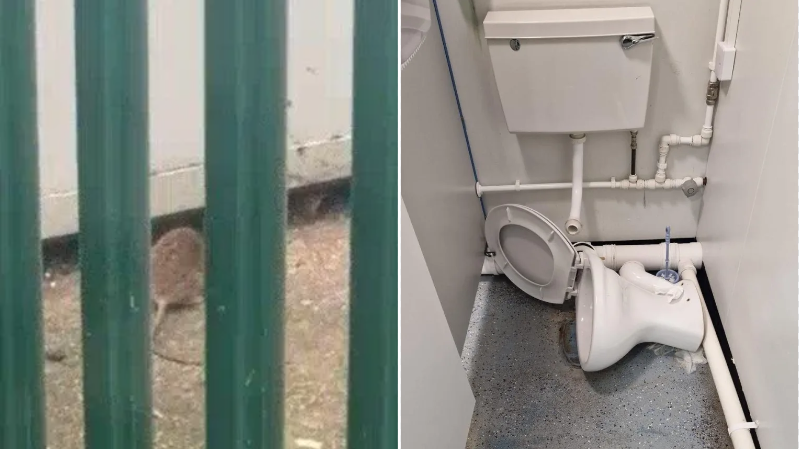 Rats as ‘big as cats’ and leaking sewage filmed at ex-RAF base housing migrants