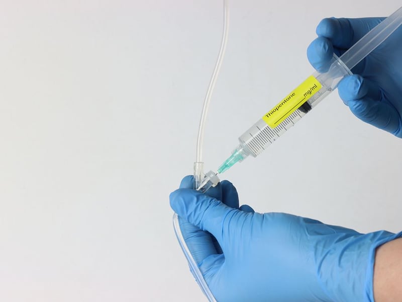 More than 16,000 Canadians died by MAID in 2024 — 5% of all deaths in Canada: report