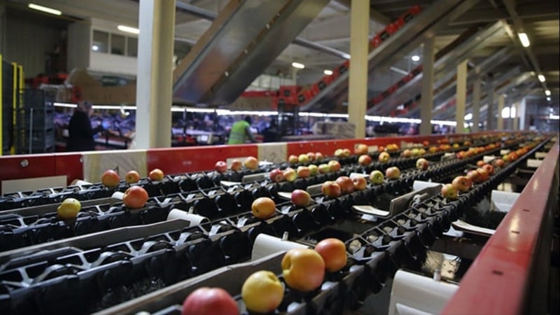 Dünyaya meyve ihraç eden Türk gıda devi mali darboğazda