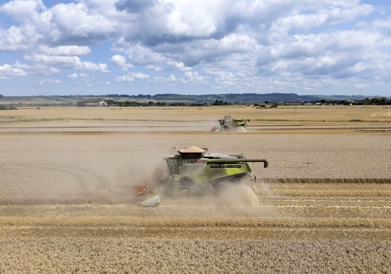 Why supermarkets are putting key industry at ‘financial risk’