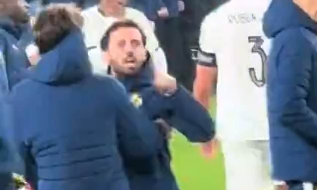 Portugal IMPLODE in Ireland: Furious Bernardo Silva and Ruben Dias clash with their own fans as boss Roberto Martinez blames opponents for Cristiano Ronaldo's violent red card