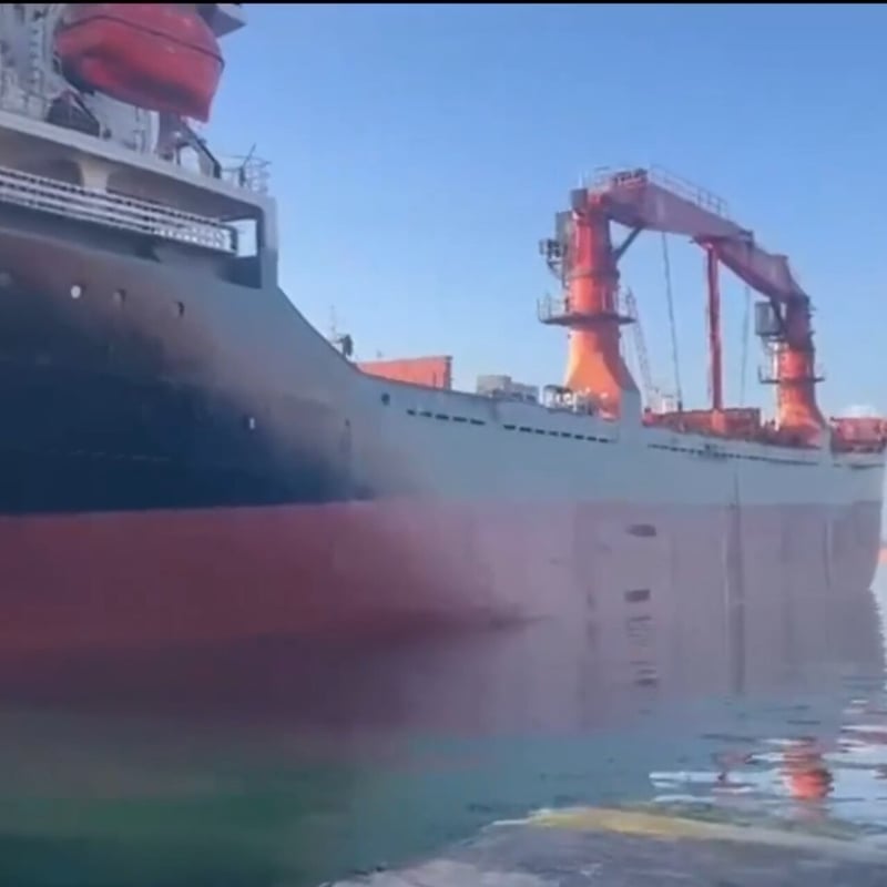 22 ilde Orkinos Operasyonu! 138 gözaltı!