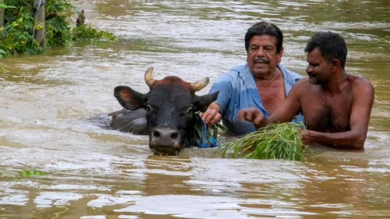 Sri Lanka’da bilanço ağırlaşıyor: Can kaybı 123’e yükseldi