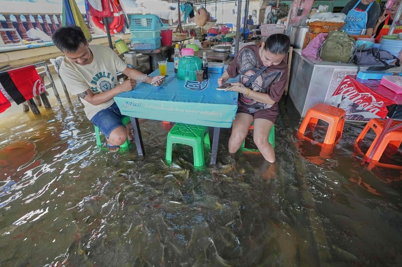 A flooded restaurant in Thailand brings delight with swimming fish among diners