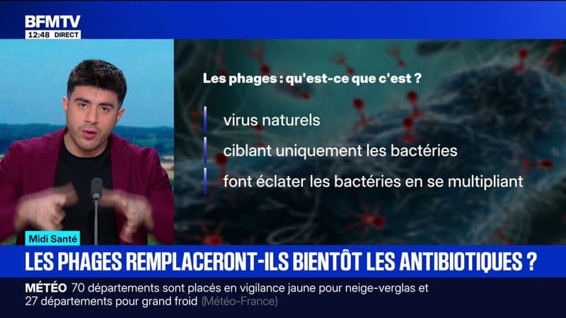 Les phages sont-ils la solution pour remplacer les antibiotiques?