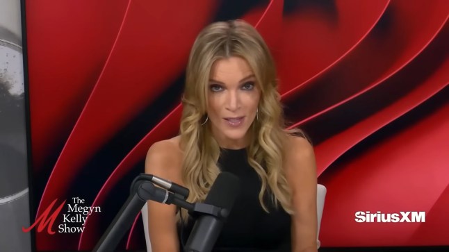 Television host claims source says ‘Epstein wasn’t a paedophile’ in on screen rant
