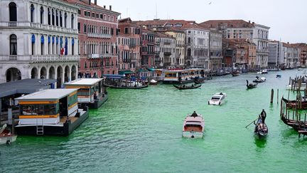 Le Grand Canal de Venise teint en vert par des militants écologistes pour dénoncer l'accord a minima de la COP30 sur les énergies fossiles