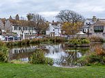 Woke council accused of 'levelling down' one of Britain's prettiest villages over plans to buy up quaint homes for temporary housing