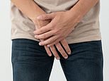 The evolution of the penis: Scientist reveals why human phalluses are so 'conservative' compared to other animals