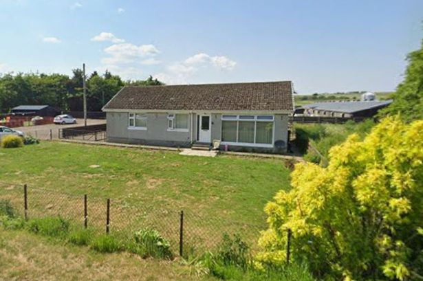 Bird flu outbreak at chicken farm near Lanark