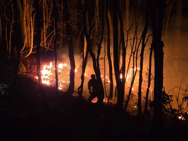 Ordu'da örtü yangını ormanlık alana sıçradı