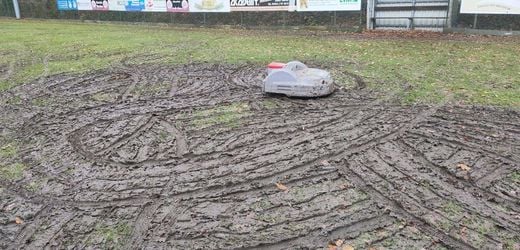 Mähroboter: Fußballplatz von SG Egels-Popens durch Robby verwüstet