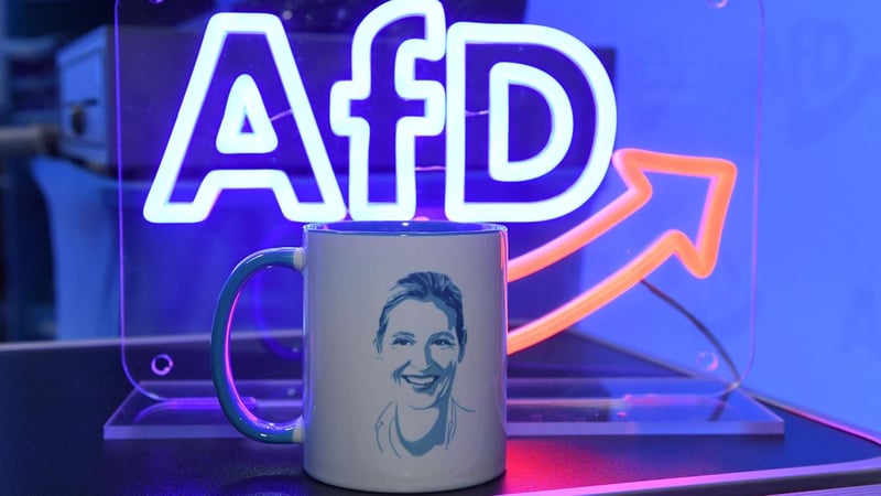 Vor Ort: Weidels AfD-Jugend: Neugeburt in der Kampfzone