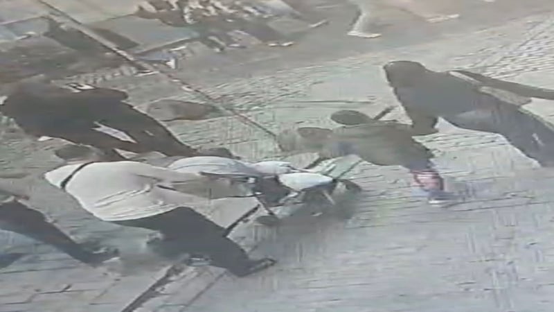 Böcek ailesinin ölümüne ilişkin soruşturma: Yeni görüntüler ortaya çıktı