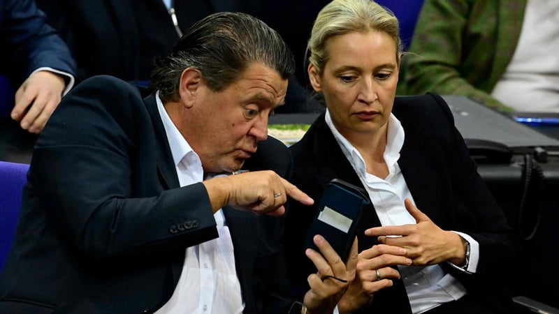 Umgang miT der AfD: Mit Rechtsextremen reden?