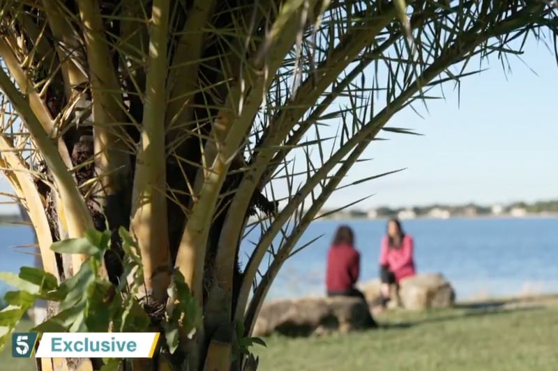 Anonymous Epstein Survivor speaks for the first time claiming Trump ‘must have known’ about victims