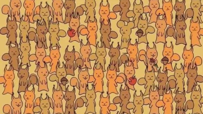 5 saniyelik görsel meydan okuma: Sadece dahiler fareyi bulabiliyor!