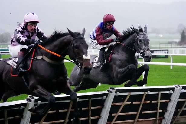 Paul Nicholls gets emotional after unearthing young star with potential of great Denman