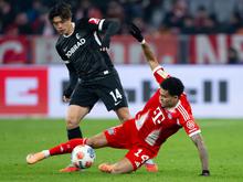 Champions League: FC Bayern kämpft um kürzere Sperre für Stürmer Luis Díaz