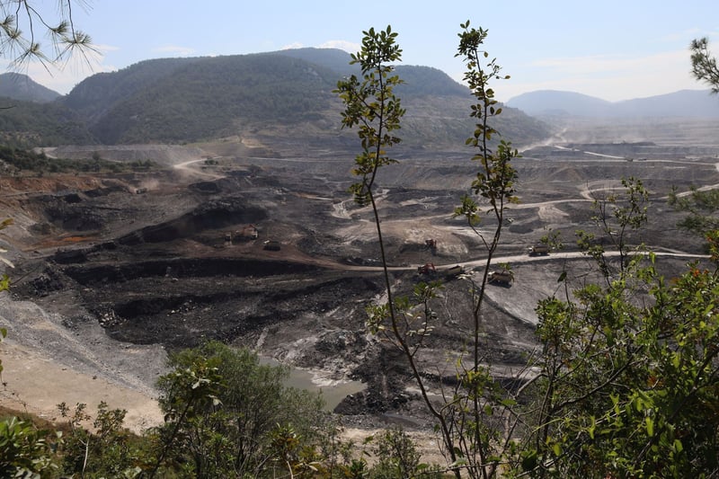 Gelecek yıl İklim Konferansı’nın Türkiye’de yapılması gündemde | Prof. Dr. Murat Türkeş: “Nükleer ve fosil yakıt lobilerine geçit verilmemeli”