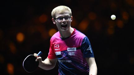 Tennis de table : Félix Lebrun domine son frère Alexis dans leur première finale commune sur le circuit WTT, à Mascate