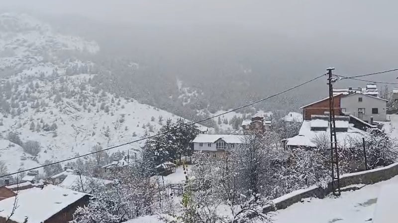 Meteoroloji sarı kodla uyarmıştı! Sivas'ta lapa lapa yağan kar beyaza bürüdü