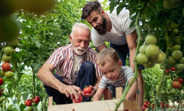 Save our family firms: Reeves warned inheritance tax raid has 'demoralised' business owners and hammered investment