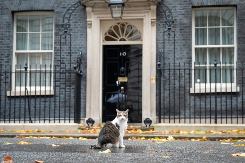 No wonder Downing Street’s in chaos – you can’t even get a decent phone signal, say ex-No 10 staffers