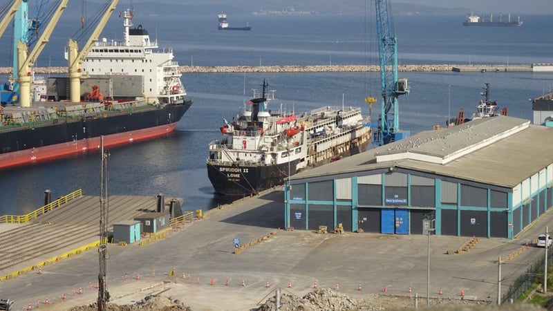 Stranded ship carrying nearly 3,000 cattle now at sea for 55 days