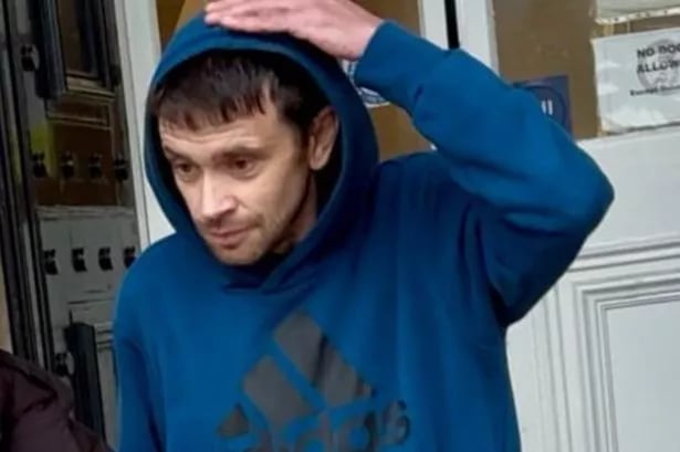 Penis-swinging duo branded 'pair of idiots' after naked garden antics