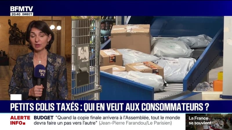 Taxation des petits colis: "Ce que l'Union européenne propose pour l'instant sera quasiment inefficace", affirme Aurélie Trouvé (LFI)