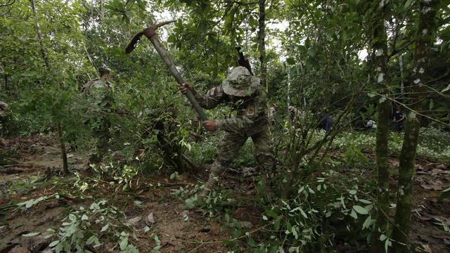 Drogenpolitik: Bolivien will US-Antidrogenbehörde wieder ins Land lassen