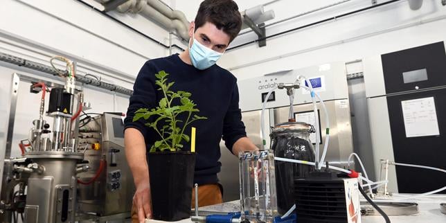 Face à la multiplication des scandales agroalimentaires, une génération d’étudiants désenchantée