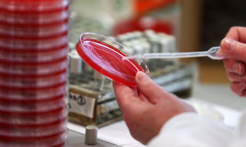 Inside top secret planning for Disease X – to prevent the UK’s next Covid