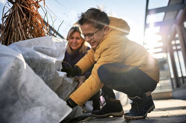 Gardeners given 'fleece' advice to protect plants as temps plummet this weekend