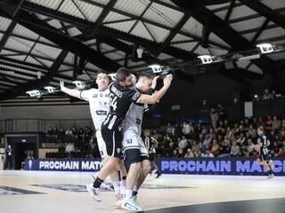Handball - Proligue. « L’aspect mental a pris le dessus » : dure leçon pour Angers Sco à Créteil