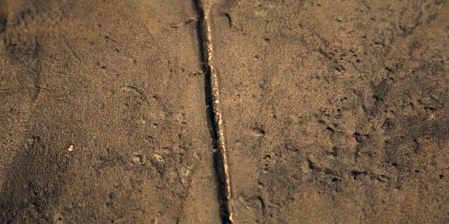 Shoshana Levy : « En Colombie, les aveux publics des hauts responsables permettent d’ancrer un récit partagé du passé, sans déni possible »