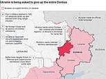 What a carved up Ukraine could look like if US and Russia peace deal is forced on Zelensky from surrendering Donbas to a drastically reduced military and Putin's language demands