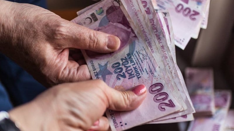 Sosyal ve Ekonomik Destek ödemeleri hesaplara yatırıldı