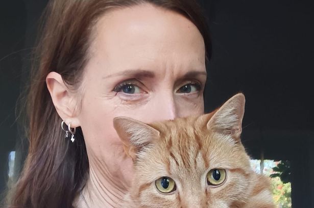 'I'm not giving my 12 year old son a smartphone as I want to avoid another tragedy'