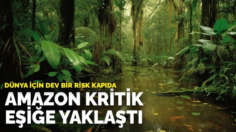 Dünya için dev bir risk kapıda: Amazon kritik eşiğe yaklaştı