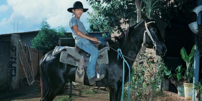 Que faire, que voir, où aller ? L’agenda culturel et art de vivre en France à partir du 15 novembre