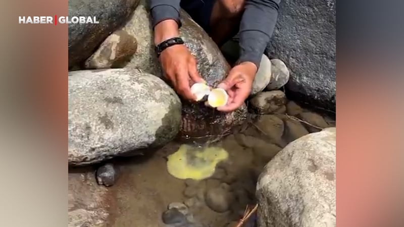 Sadece bir yumurtayla devasa balık yakalayan adamın görüntüleri viral oldu